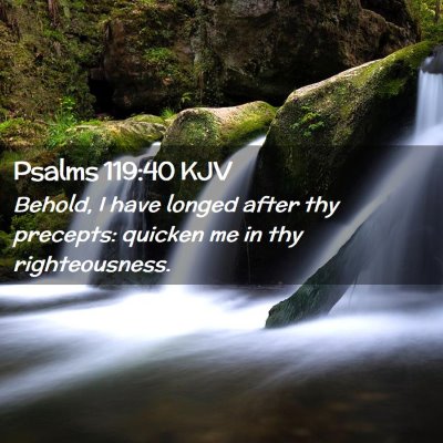 Picture 02 - Psalms 119:40 KJV - Behold, I have longed after thy precepts: quicken - Bible Verse Picture