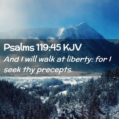 Picture 02 - Psalms 119:45 KJV - And I will walk at liberty: for I seek thy - Bible Verse Picture