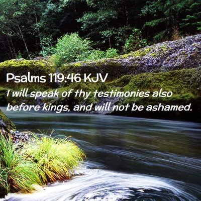 Picture 02 - Psalms 119:46 KJV - I will speak of thy testimonies also before - Bible Verse Picture