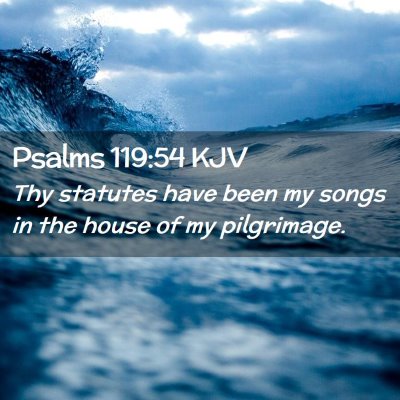 Picture 02 - Psalms 119:54 KJV - Thy statutes have been my songs in the house of - Bible Verse Picture