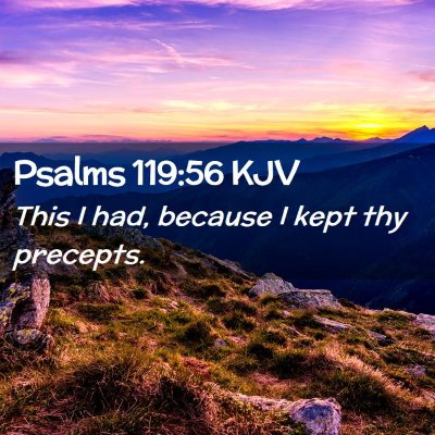 Picture 02 - Psalms 119:56 KJV - This I had, because I kept thy - Bible Verse Picture