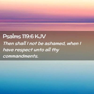 Picture 02 - Psalms 119:6 KJV - Then shall I not be ashamed, when I have respect - Bible Verse Picture