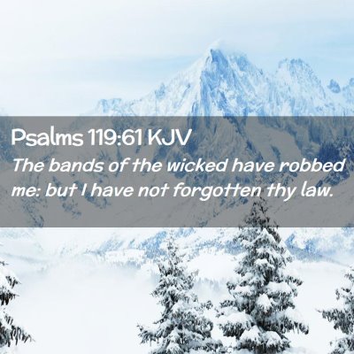 Picture 02 - Psalms 119:61 KJV - The bands of the wicked have robbed me: but I - Bible Verse Picture