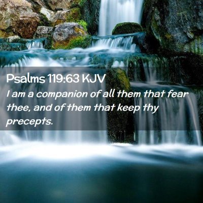 Picture 02 - Psalms 119:63 KJV - I am a companion of all them that fear thee, and - Bible Verse Picture