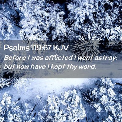 Picture 02 - Psalms 119:67 KJV - Before I was afflicted I went astray: but now - Bible Verse Picture