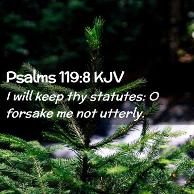 Picture 02 - Psalms 119:8 KJV - I will keep thy statutes: O forsake me not - Bible Verse Picture