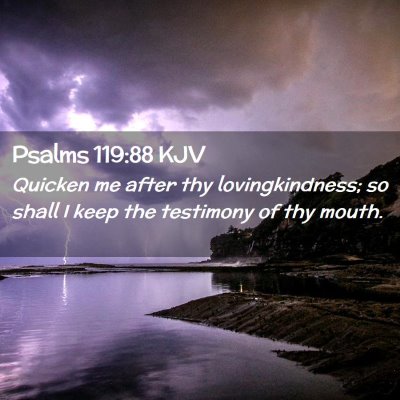 Picture 02 - Psalms 119:88 KJV - Quicken me after thy lovingkindness; so shall I - Bible Verse Picture