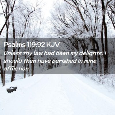 Picture 02 - Psalms 119:92 KJV - Unless thy law had been my delights, I should - Bible Verse Picture