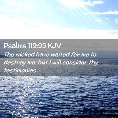 Picture 02 - Psalms 119:95 KJV - The wicked have waited for me to destroy me: but - Bible Verse Picture