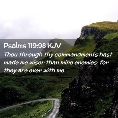 Picture 02 - Psalms 119:98 KJV - Thou through thy commandments hast made me wiser - Bible Verse Picture
