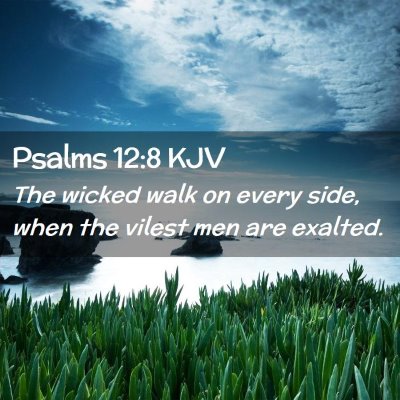 Picture 02 - Psalms 12:8 KJV - The wicked walk on every side, when the vilest - Bible Verse Picture