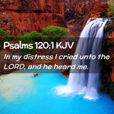 Picture 02 - Psalms 120:1 KJV - In my distress I cried unto the LORD, and he - Bible Verse Picture