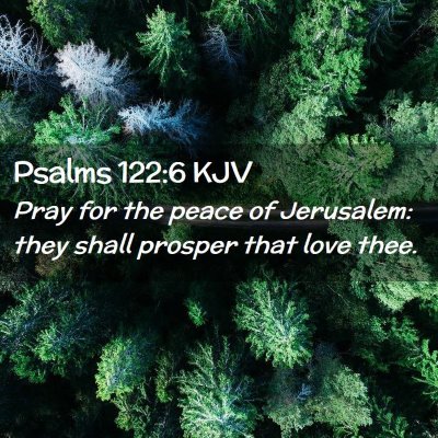 Picture 02 - Psalms 122:6 KJV - Pray for the peace of Jerusalem: they shall - Bible Verse Picture