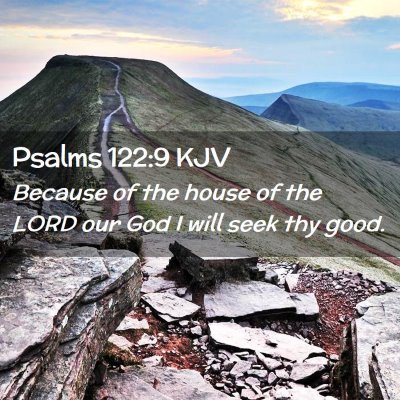 Picture 02 - Psalms 122:9 KJV - Because of the house of the LORD our God I will - Bible Verse Picture