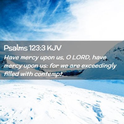 Picture 02 - Psalms 123:3 KJV - Have mercy upon us, O LORD, have mercy upon us: - Bible Verse Picture
