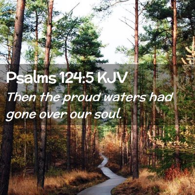 Picture 02 - Psalms 124:5 KJV - Then the proud waters had gone over our - Bible Verse Picture