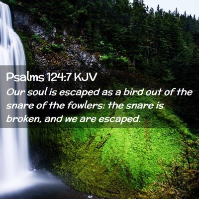Picture 02 - Psalms 124:7 KJV - Our soul is escaped as a bird out of the snare of - Bible Verse Picture