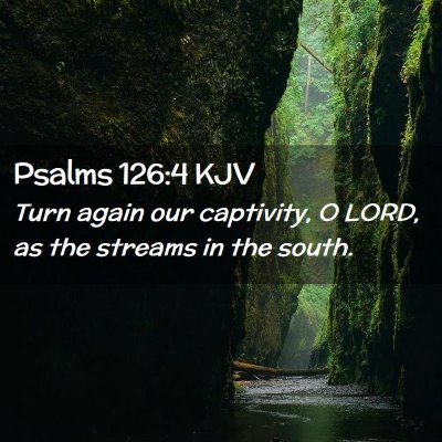 Picture 02 - Psalms 126:4 KJV - Turn again our captivity, O LORD, as the streams - Bible Verse Picture