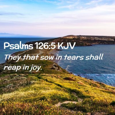 Picture 02 - Psalms 126:5 KJV - They that sow in tears shall reap in - Bible Verse Picture