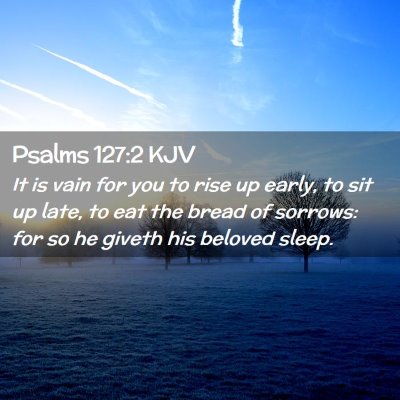 Picture 02 - Psalms 127:2 KJV - It is vain for you to rise up early, to sit up - Bible Verse Picture