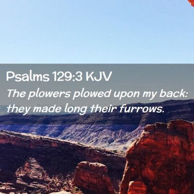Picture 02 - Psalms 129:3 KJV - The plowers plowed upon my back: they made long - Bible Verse Picture