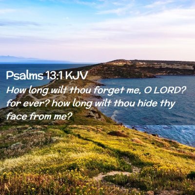 Picture 02 - Psalms 13:1 KJV - How long wilt thou forget me, O LORD? for ever? - Bible Verse Picture