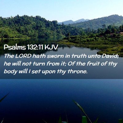 Picture 02 - Psalms 132:11 KJV - The LORD hath sworn in truth unto David; he will - Bible Verse Picture