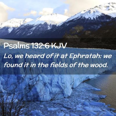 Picture 02 - Psalms 132:6 KJV - Lo, we heard of it at Ephratah: we found it in - Bible Verse Picture