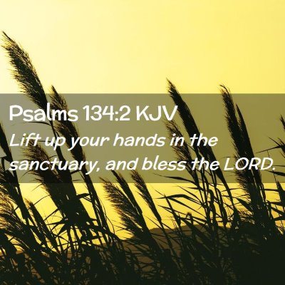 Picture 02 - Psalms 134:2 KJV - Lift up your hands in the sanctuary, and bless - Bible Verse Picture