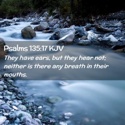 Picture 02 - Psalms 135:17 KJV - They have ears, but they hear not; neither is - Bible Verse Picture