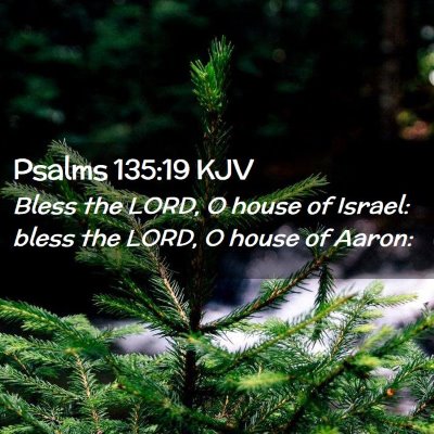 Picture 02 - Psalms 135:19 KJV - Bless the LORD, O house of Israel: bless the - Bible Verse Picture