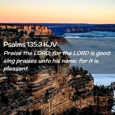 Picture 02 - Psalms 135:3 KJV - Praise the LORD; for the LORD is good: sing - Bible Verse Picture