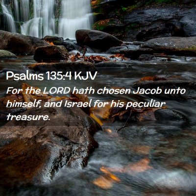 Picture 02 - Psalms 135:4 KJV - For the LORD hath chosen Jacob unto himself, and - Bible Verse Picture