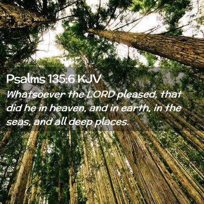 Picture 02 - Psalms 135:6 KJV - Whatsoever the LORD pleased, that did he in - Bible Verse Picture