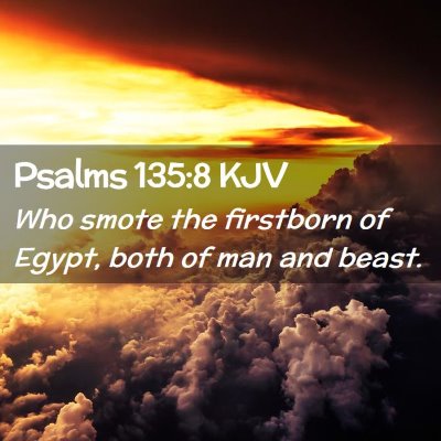 Picture 02 - Psalms 135:8 KJV - Who smote the firstborn of Egypt, both of man and - Bible Verse Picture