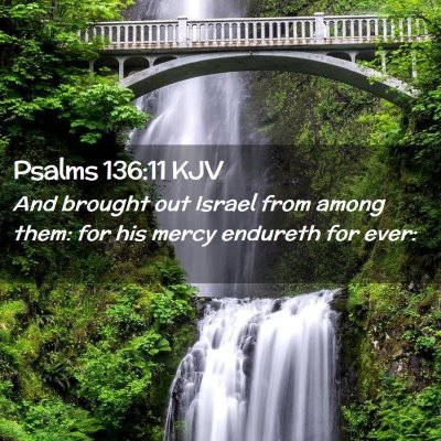 Picture 02 - Psalms 136:11 KJV - And brought out Israel from among them: for his - Bible Verse Picture