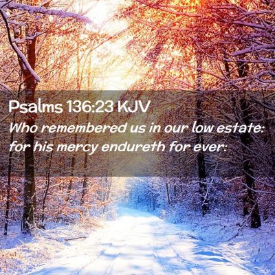 Picture 02 - Psalms 136:23 KJV - Who remembered us in our low estate: for his - Bible Verse Picture