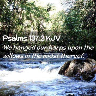 Picture 02 - Psalms 137:2 KJV - We hanged our harps upon the willows in the midst - Bible Verse Picture