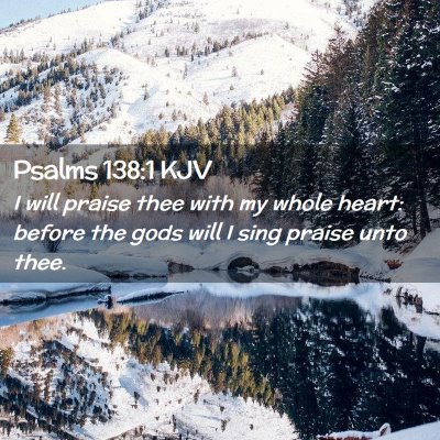 Picture 02 - Psalms 138:1 KJV - I will praise thee with my whole heart: before - Bible Verse Picture