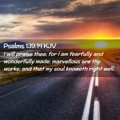 Picture 02 - Psalms 139:14 KJV - I will praise thee; for I am fearfully and - Bible Verse Picture