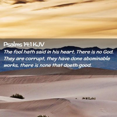 Picture 02 - Psalms 14:1 KJV - The fool hath said in his heart, There is no God. - Bible Verse Picture