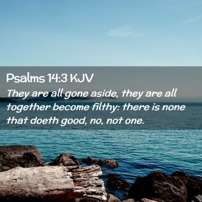 Picture 02 - Psalms 14:3 KJV - They are all gone aside, they are all together - Bible Verse Picture