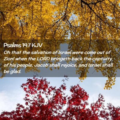 Picture 02 - Psalms 14:7 KJV - Oh that the salvation of Israel were come out of - Bible Verse Picture