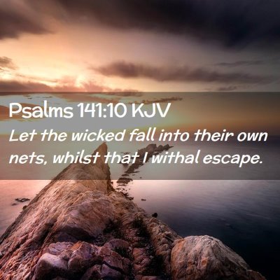 Picture 02 - Psalms 141:10 KJV - Let the wicked fall into their own nets, whilst - Bible Verse Picture