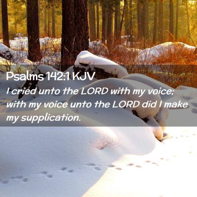 Picture 02 - Psalms 142:1 KJV - I cried unto the LORD with my voice; with my - Bible Verse Picture