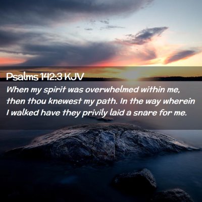 Picture 02 - Psalms 142:3 KJV - When my spirit was overwhelmed within me, then - Bible Verse Picture