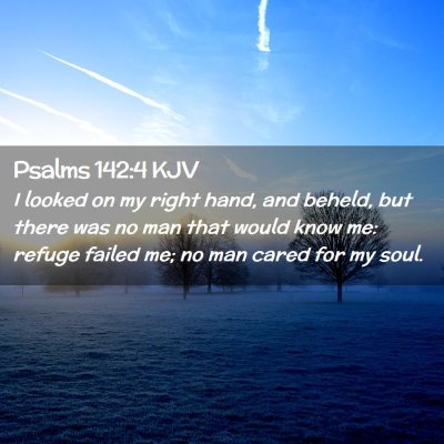 Picture 02 - Psalms 142:4 KJV - I looked on my right hand, and beheld, but there - Bible Verse Picture