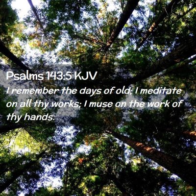 Picture 02 - Psalms 143:5 KJV - I remember the days of old; I meditate on all thy - Bible Verse Picture