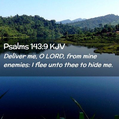 Picture 02 - Psalms 143:9 KJV - Deliver me, O LORD, from mine enemies: I flee - Bible Verse Picture
