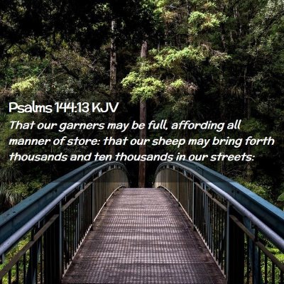 Picture 02 - Psalms 144:13 KJV - That our garners may be full, affording all - Bible Verse Picture